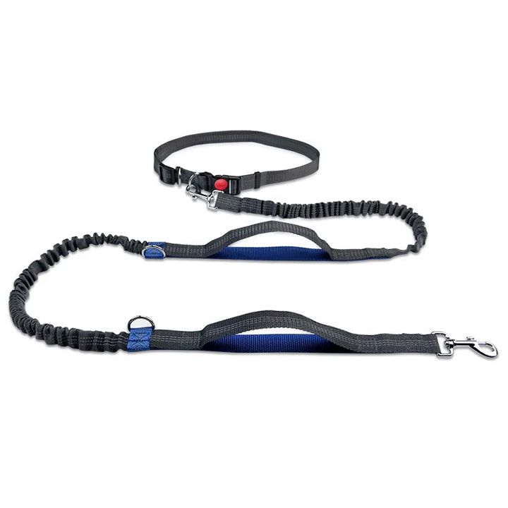 professional-reflective-bungee-hands-free-dog-leash-dzaghlis-sabeli