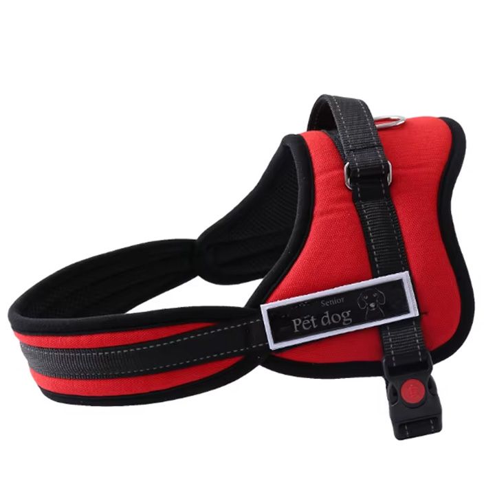 comfortable-anti-theft-pet-dog-collar-gulmkerdis-sabeli
