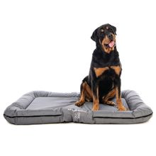Product image of M-PETS FALSTER XL ლეიბი