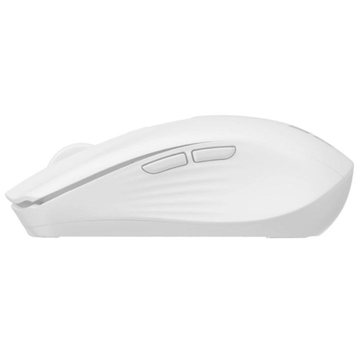 2e-2e-mf270wwh-sadeniani-mausi-photo-4