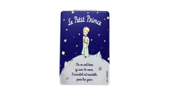 the-little-prince-personaluri-sarke-photo-2
