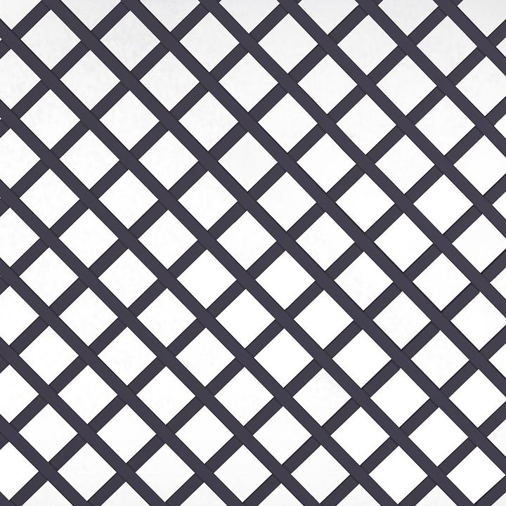 dekoratiuli-gisosi-48mm-photo-2