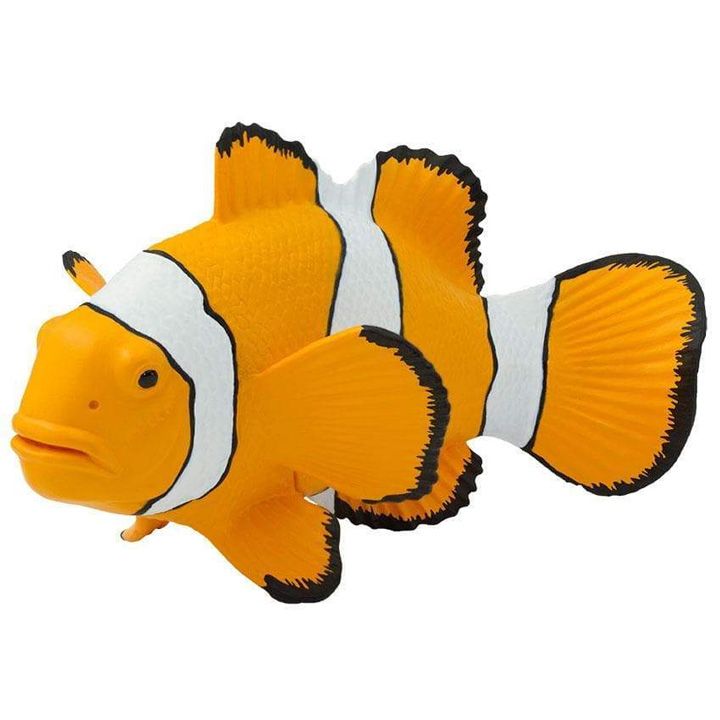safari-clown-anemonefish-satamasho-figura-photo-4