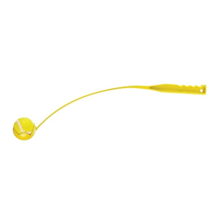 m-pets-burtis-sasroli-motsqobiloba-photo-2