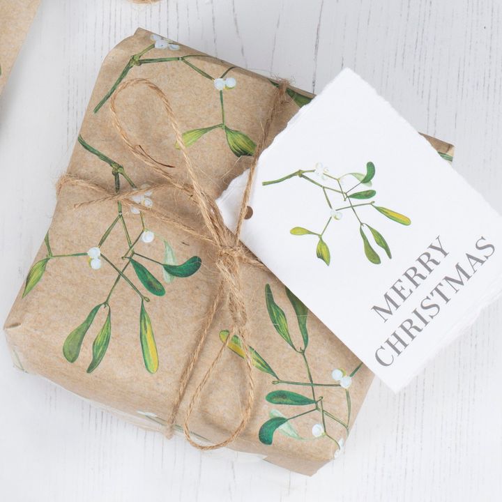 shesafuti-qaghaldi-dzafit-da-misalotsi-baratit-photo-2