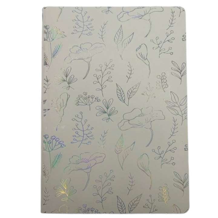 lizy-brs17-bloknoti-mtsenareebi