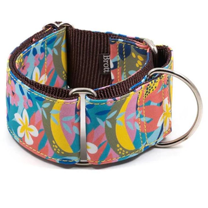 brott-dzaghlis-saqelo