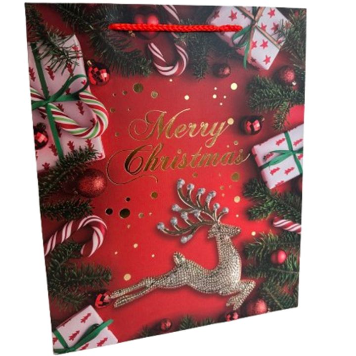 saakhaltslo-sasachuqre-chanta-merry-christmas-photo-2