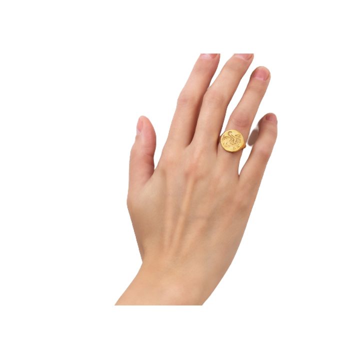 chronos-bechedi-sfinqsis-gamosakhulebit-photo-2