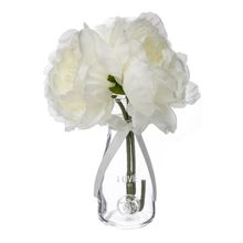 Product image of Laboratory My Home ხელოვნური მცენარე
