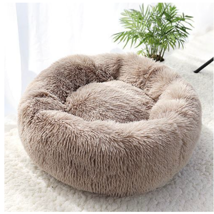 petsup-shinauri-tskhovelis-satsoli-photo-2