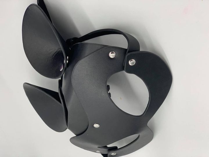 minnie-mouse-photo-2