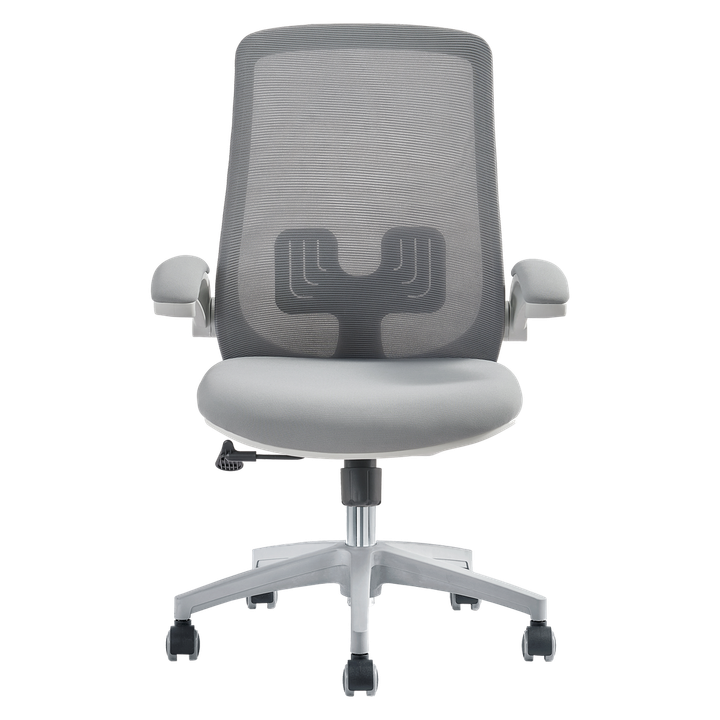 my-office-gorgolachebiani-savardzeli-photo-2