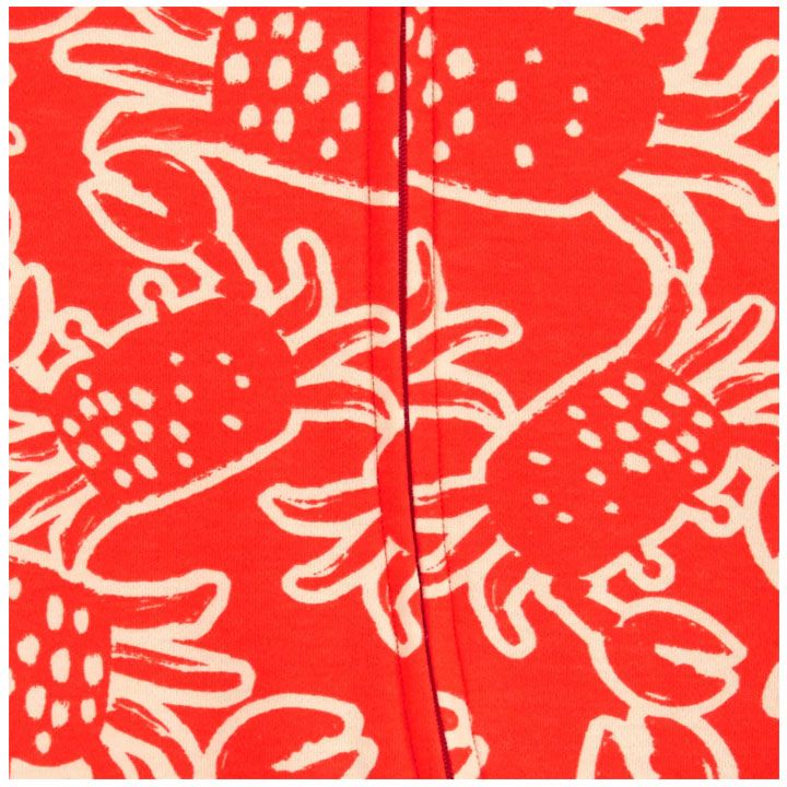 carters-sadzile-kombinizoni-fachuchit-photo-2