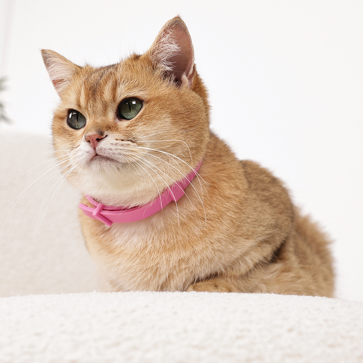 m-pets-keep-calm-damamshvidebeli-feromonebis-saqelos-nakrebi-katebistvis-4ts-photo-3