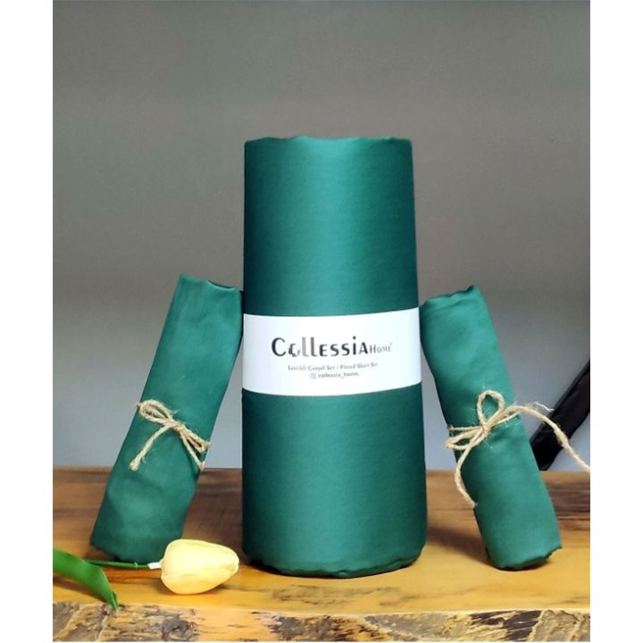 collessia-zetsari-rezinze