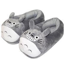 Product image of ჩუსტები ტოტორო