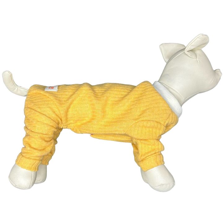 petsup-dzaghlis-tansatsmeli