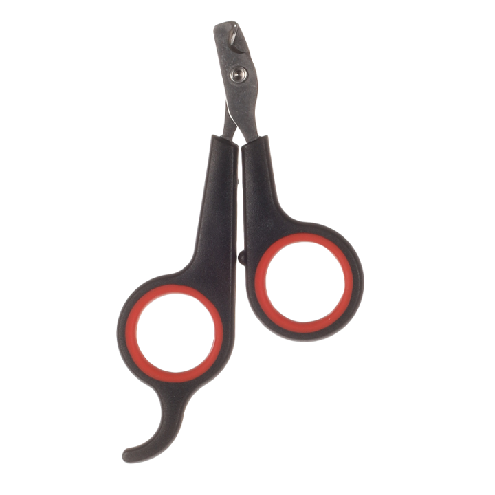 flamingo-katis-frchkhilebis-makrateli-photo-2