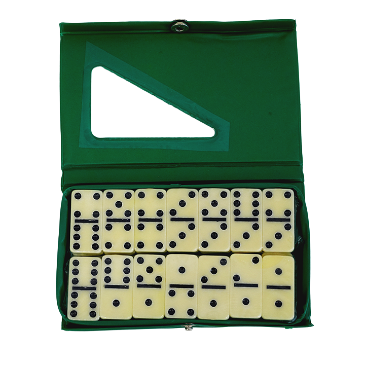 samagido-tamashi-domino-photo-2