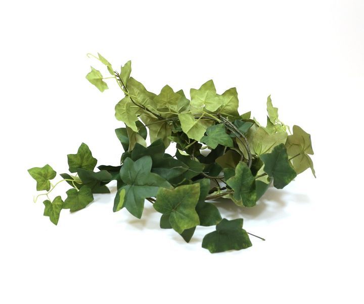 laboratory-my-home-khelovnuri-mtsenare