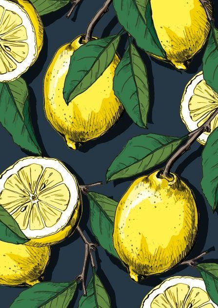 misalotsi-barati-zinba