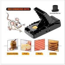 Product image of სათაგური