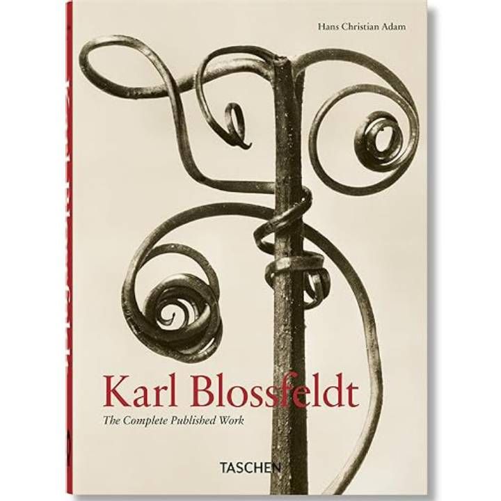karl-blossfeldt-the-complete-published-work-khelovneba