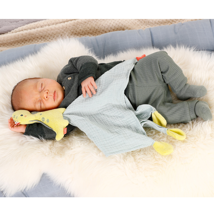 fehn-baby-comforter-dino-chvilis-satamasho-photo-2