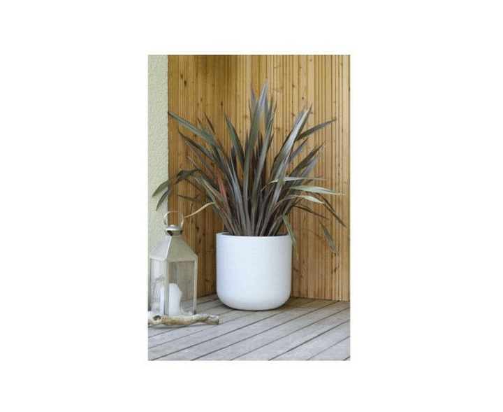 rond-graphitup-385-x-368-cm---325-l-blcer-cx2-plastmasis-qotani-photo-2
