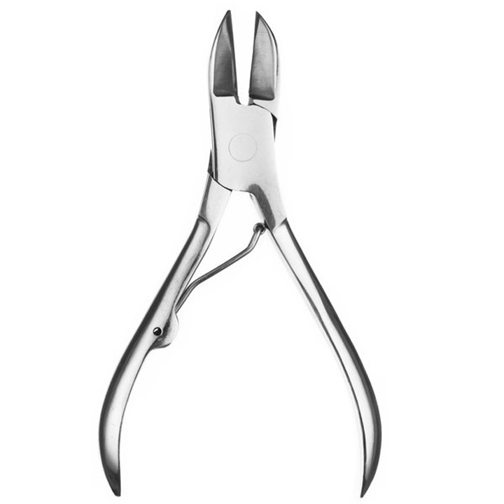 pollie-frchkhilis-mkvnetara