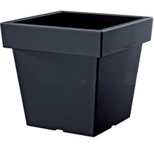 Product image of PROSPERPLAST LOFLY LOW DLOFL S433 289 მმ, შავი პლასტმასის ქოთანი ყვავილებისთვის
