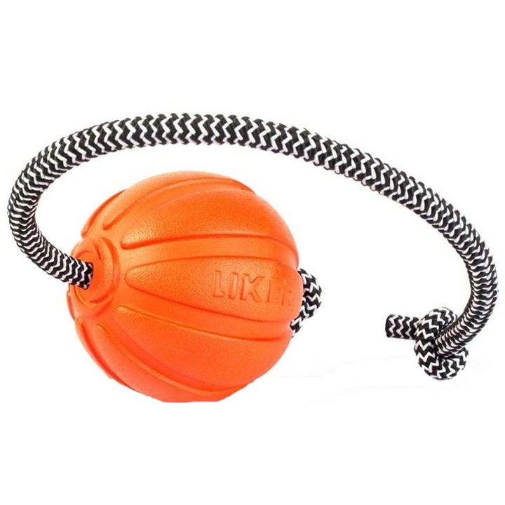 collar-burti-laikeri-qordi-photo-2