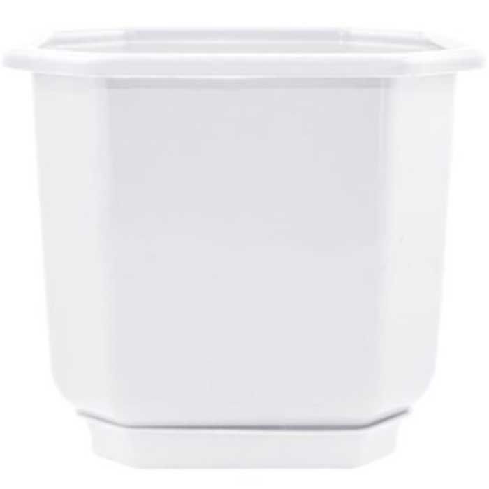 aleana-dama-8x8-tetri-mtsenaris-plastmasis-qotani-sadgamit