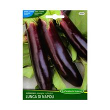 Product image of ბადრიჯნის თესლი Eggplant VIOLETTA LUNGA 2 244-MAXIOr