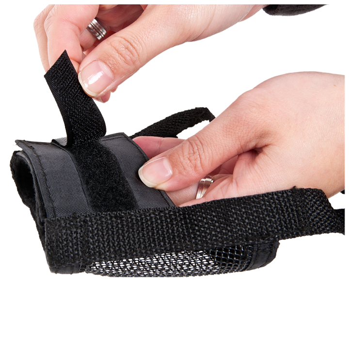 flamingo-dzaghlis-alikapi-photo-3