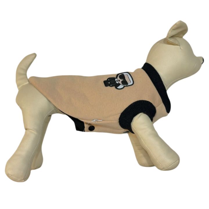 petsup-karl-dzaghlis-tansatsmeli