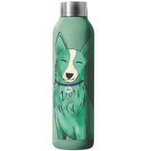 Product image of M-PETS PETJOY Purrfect Hydration 500მლ უჟანგავი ფოლადის სასმელი ბოთლი