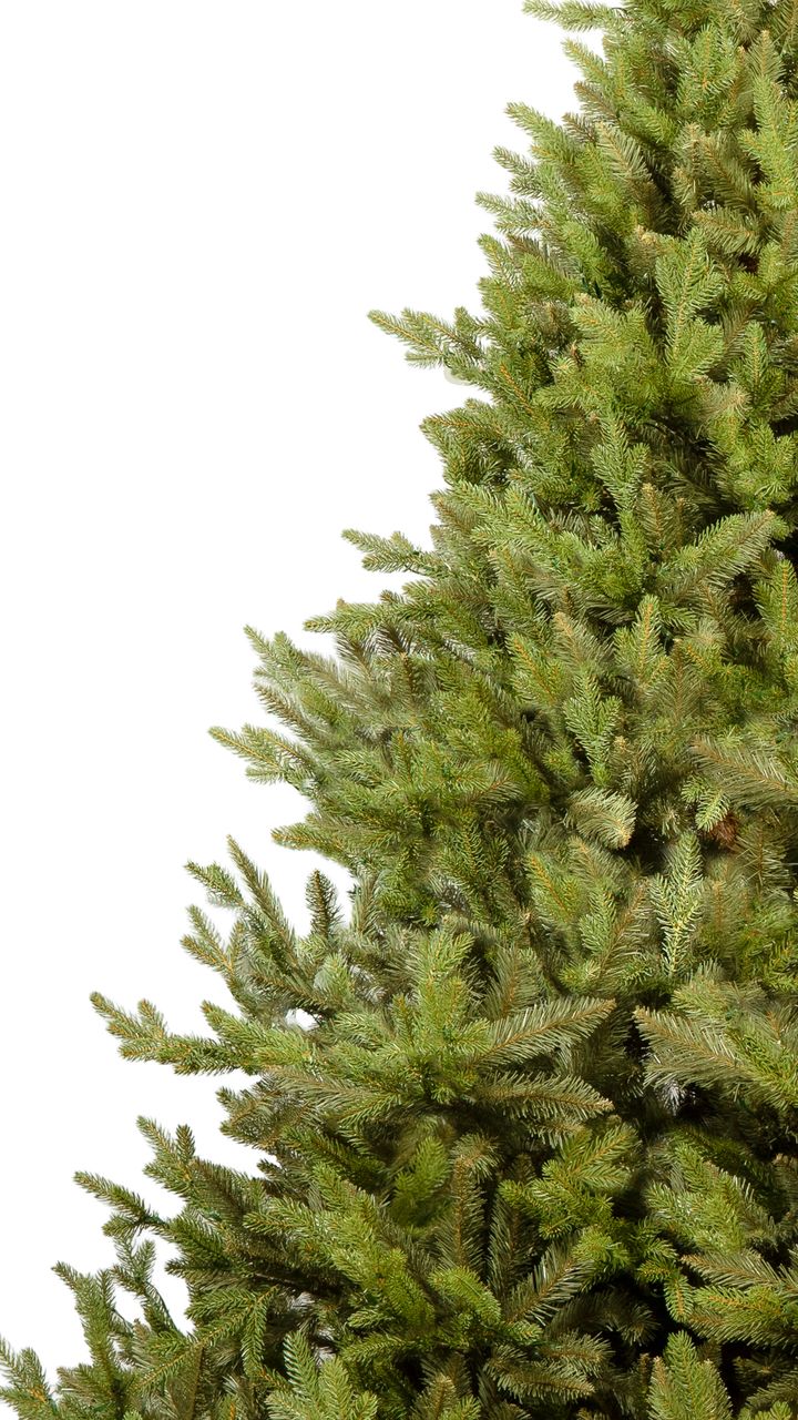 mimdemi-280sm---dizaineruli-nadzvis-khe-shako-da-ninosgan-photo-3