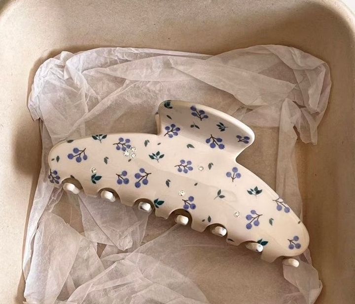 tmis-samagrebis-nakrebi2ts-french-beauty-photo-3