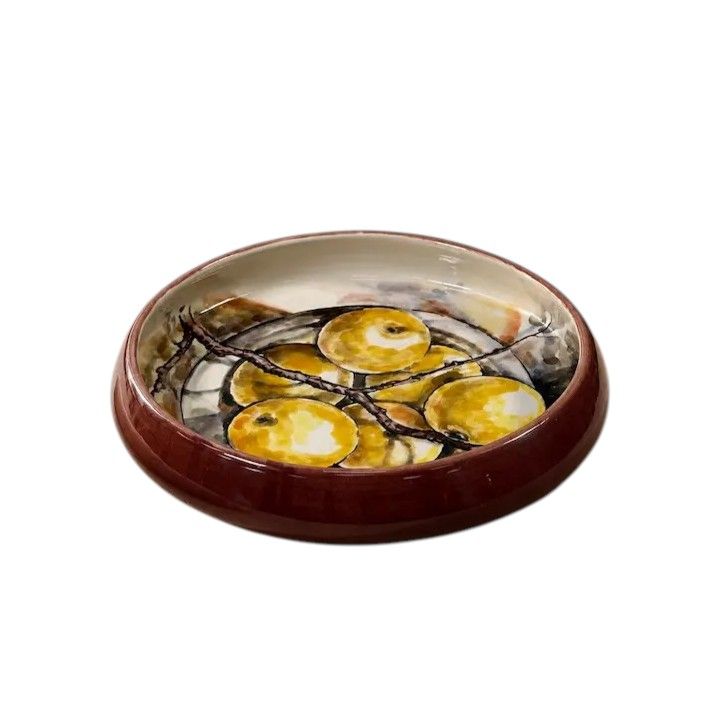 ebra-khelit-mokhatuli-mochiqurebuli-sakhile