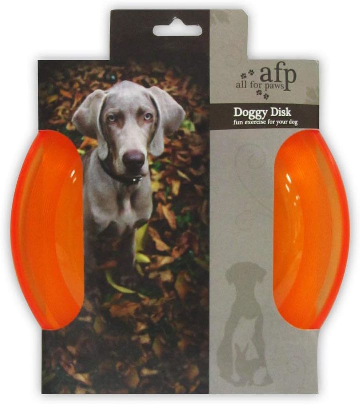 all-for-paws-frizbi-photo-2