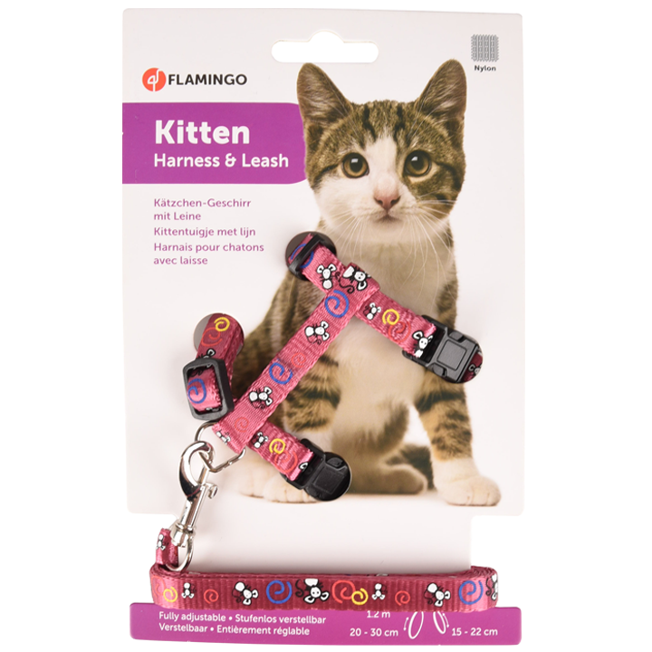 flamingo-katis-sabeli