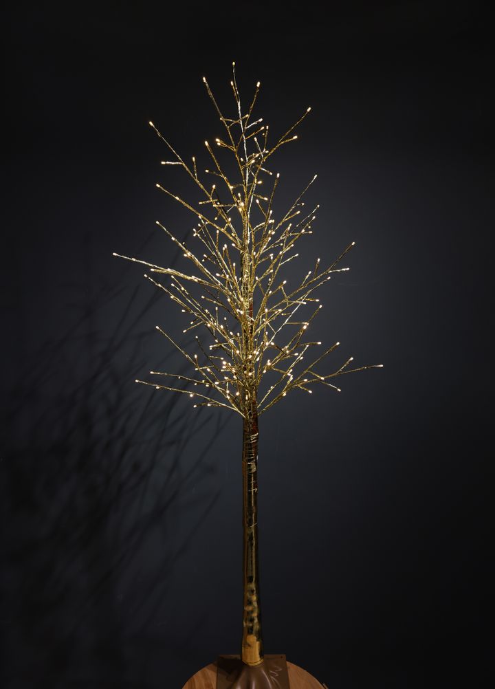 oqrosferi-ganateba-18m-photo-2