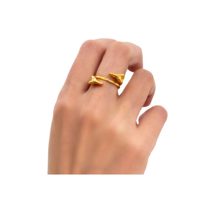 chronos-bechedi-verdzis-tavebit