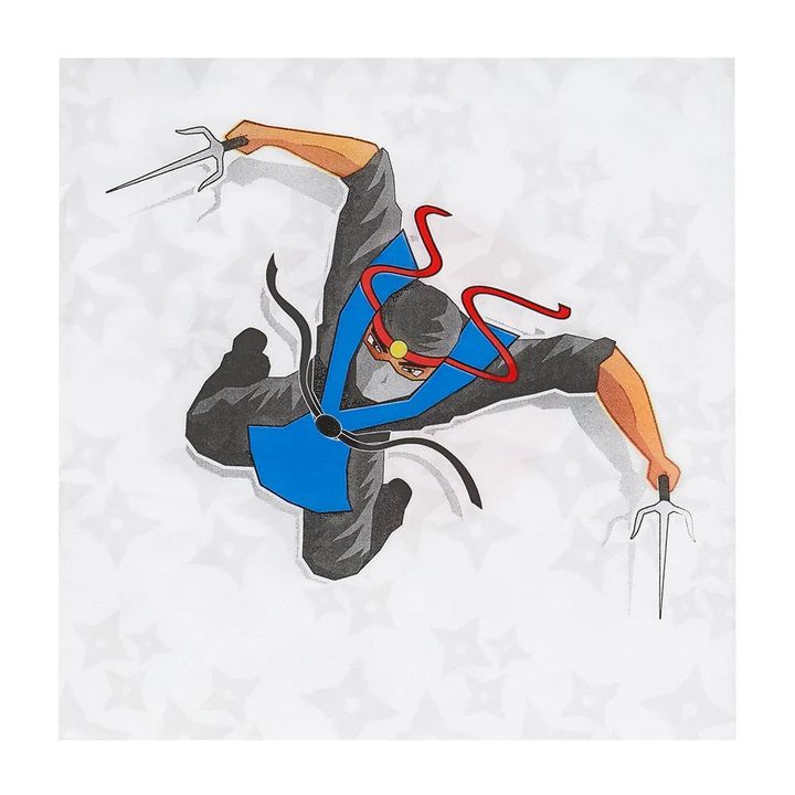 qaghaldis-khelsakhotsi-nindza-20ts-33-x-33-sm-photo-3