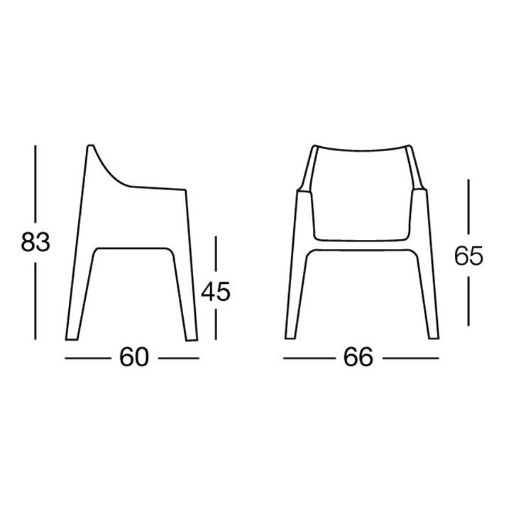 scab-coccolona-skami-photo-2