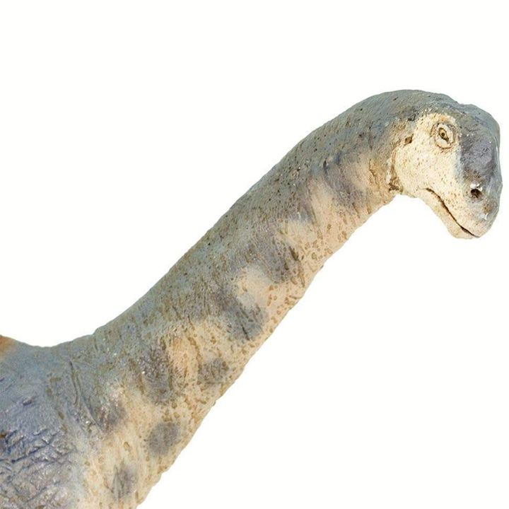 safari-camarasaurus-satamasho-figura-photo-3