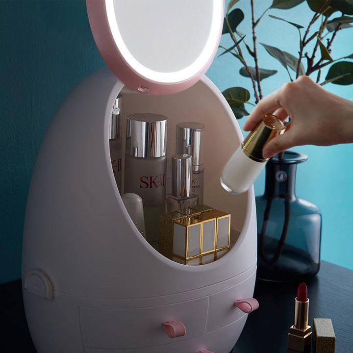 makiazhis-organaizeri-ganatebit-photo-3