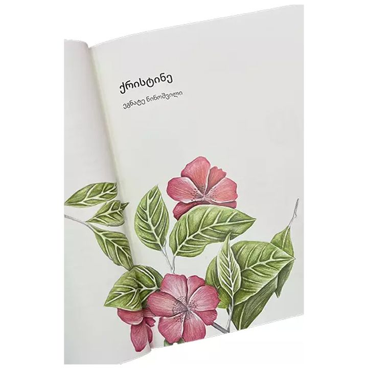 egnate-ninoshvili---qristine-photo-4